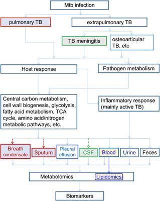 Biomarker discovery for tuberculosis using metabolomics